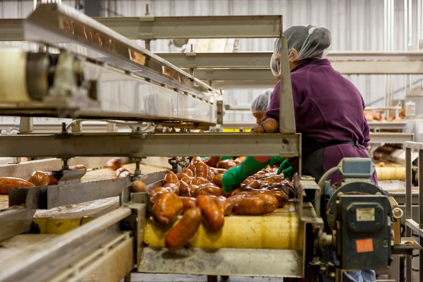 Food processing line with workers and product conveyor
